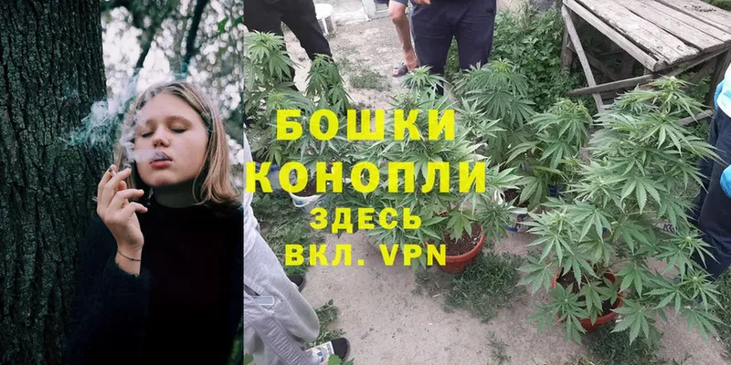 Каннабис THC 21%  Вязьма 